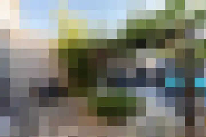 Julianalaan 161 De Rijp thumbnail 36