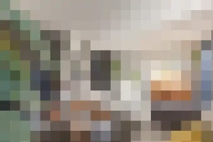 Julianalaan 161 De Rijp thumbnail 6