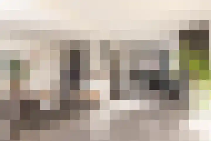 Julianalaan 161 De Rijp thumbnail 7