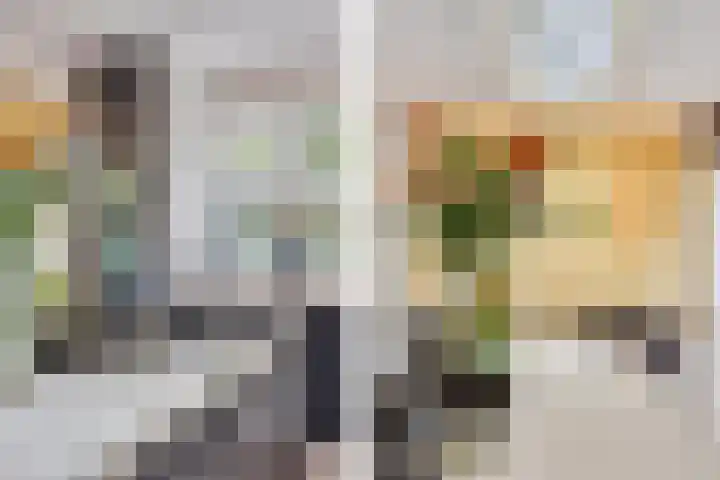 Julianalaan 165 Bilthoven thumbnail 10
