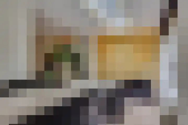 Julianalaan 165 Bilthoven thumbnail 11