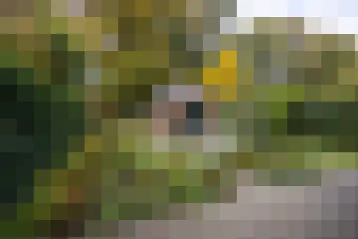Julianalaan 165 Bilthoven thumbnail 14