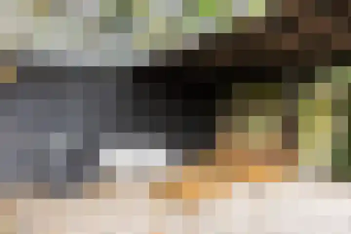 Julianalaan 165 Bilthoven thumbnail 15