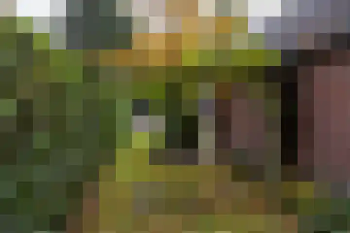Julianalaan 165 Bilthoven thumbnail 16