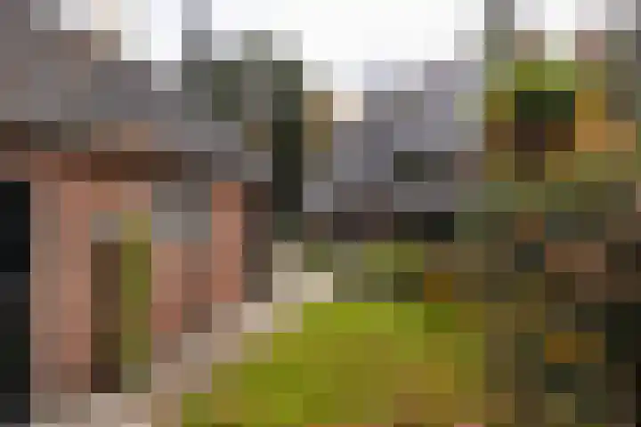 Julianalaan 165 Bilthoven thumbnail 17