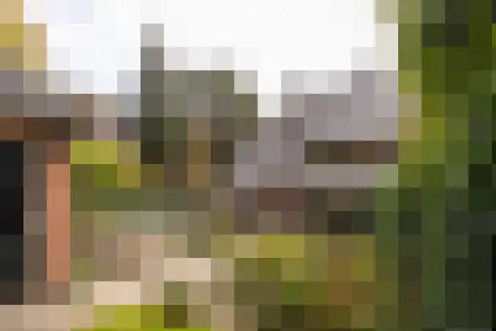 Julianalaan 165 Bilthoven thumbnail 18