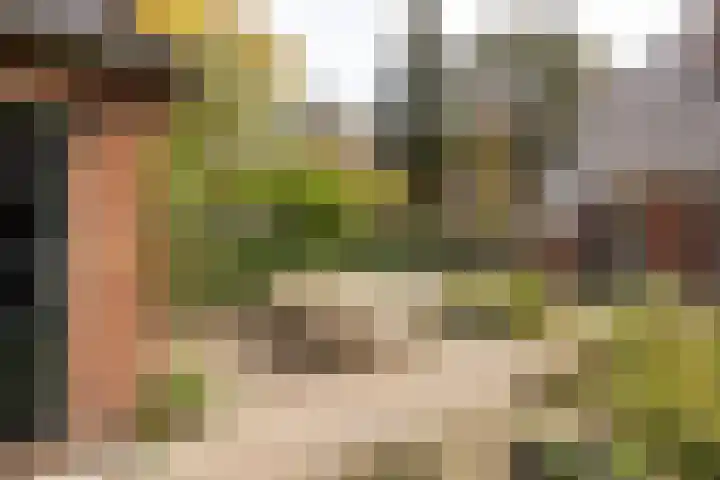 Julianalaan 165 Bilthoven thumbnail 19