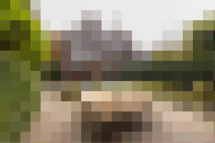 Julianalaan 165 Bilthoven thumbnail 20