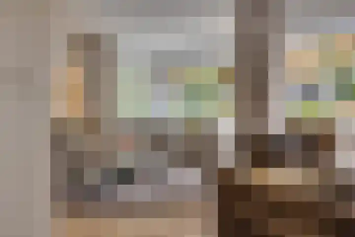 Julianalaan 165 Bilthoven thumbnail 23