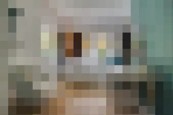 Julianalaan 165 Bilthoven thumbnail 28