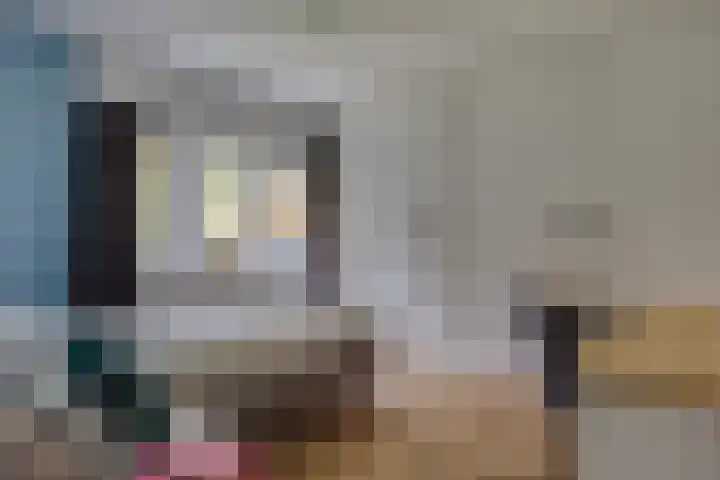 Julianalaan 165 Bilthoven thumbnail 29