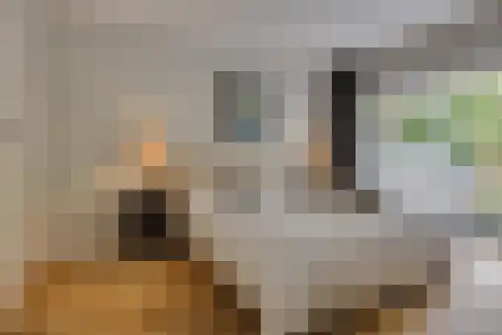 Julianalaan 165 Bilthoven thumbnail 31