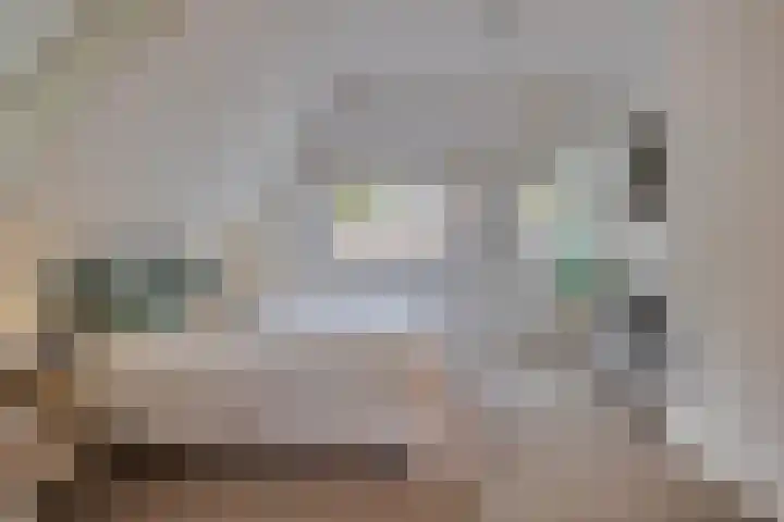 Julianalaan 165 Bilthoven thumbnail 37