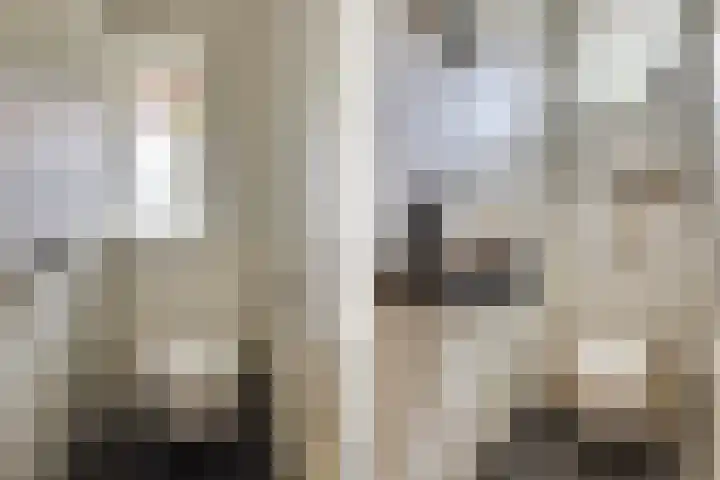Julianalaan 165 Bilthoven thumbnail 39