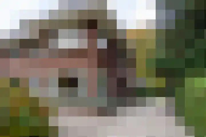 Julianalaan 165 Bilthoven thumbnail 40
