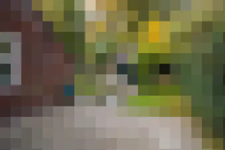 Julianalaan 165 Bilthoven thumbnail 41