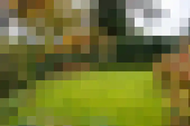 Julianalaan 165 Bilthoven thumbnail 42