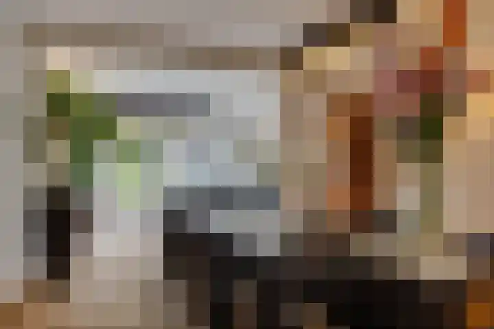 Julianalaan 165 Bilthoven thumbnail 6