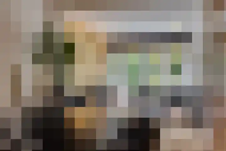 Julianalaan 165 Bilthoven thumbnail 7