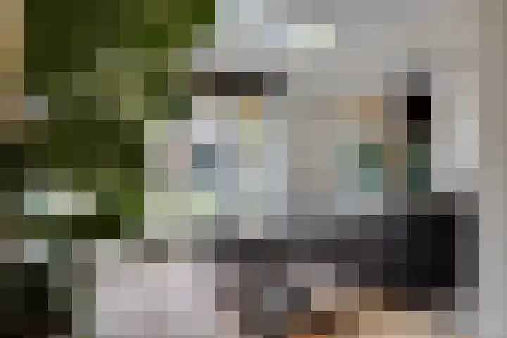 Julianalaan 165 Bilthoven thumbnail 8