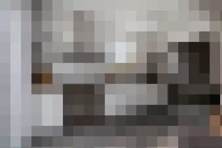 Julianalaan 17 Pijnacker thumbnail 13