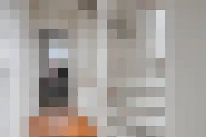 Julianalaan 17 Pijnacker thumbnail 14