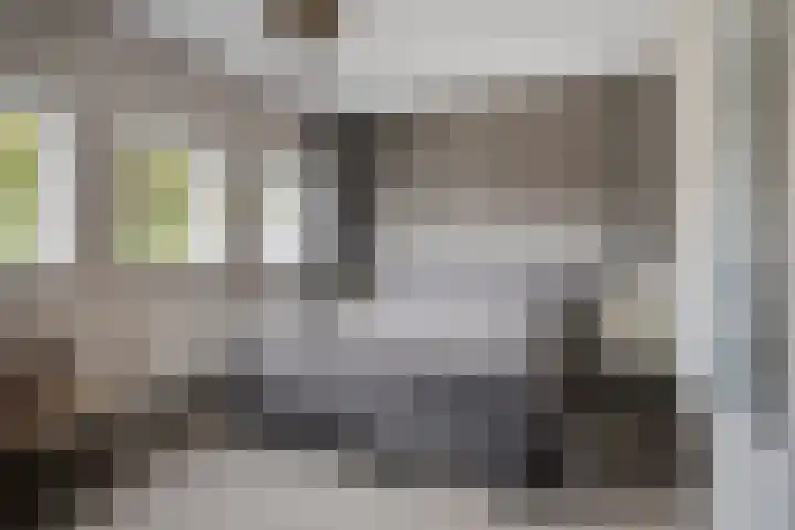Julianalaan 17 Pijnacker thumbnail 15