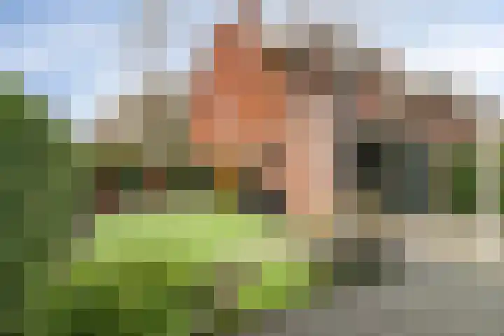 Julianalaan 17 Pijnacker foto 2