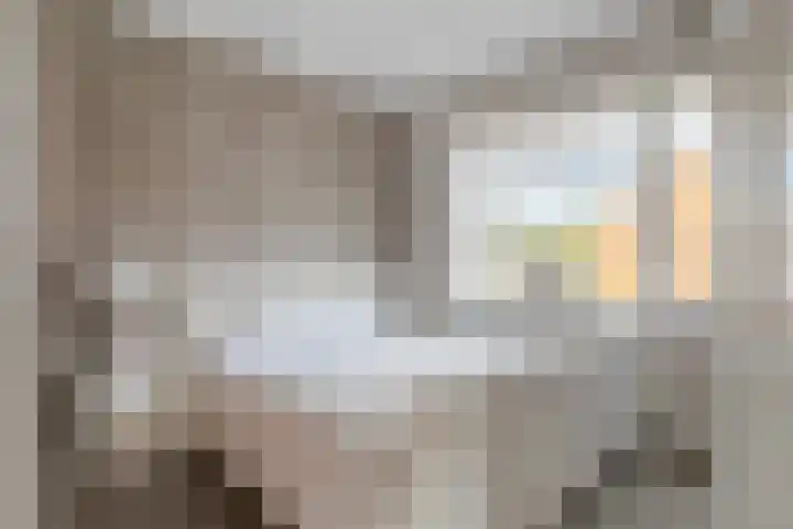 Julianalaan 17 Pijnacker thumbnail 20