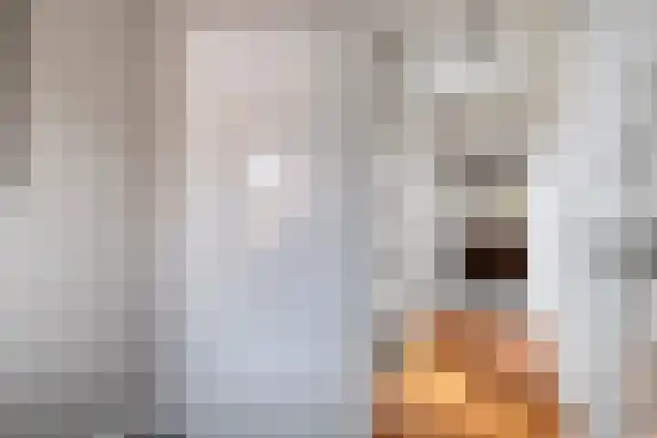 Julianalaan 17 Pijnacker thumbnail 23