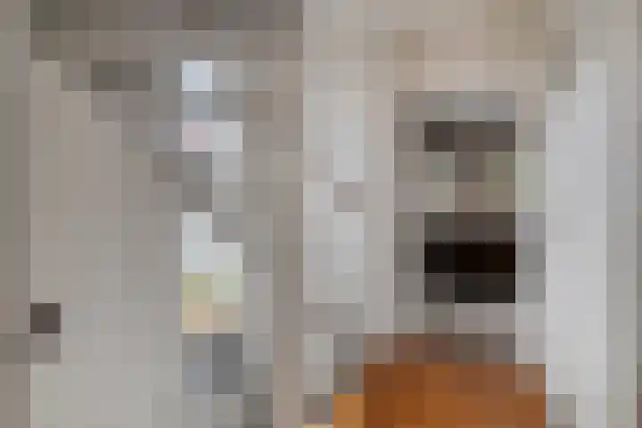 Julianalaan 17 Pijnacker thumbnail 24