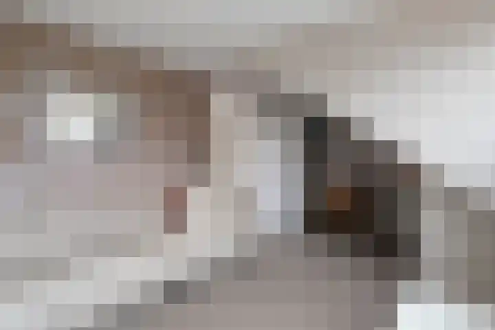 Julianalaan 17 Pijnacker thumbnail 27
