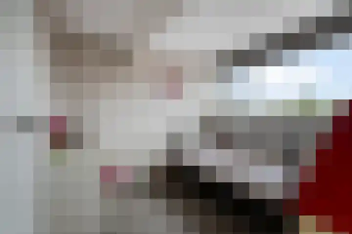 Julianalaan 17 Pijnacker thumbnail 29