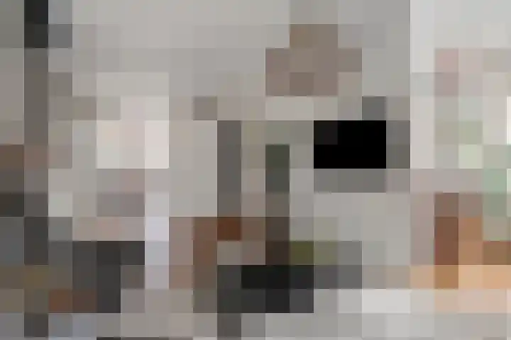 Julianalaan 17 Pijnacker thumbnail 5