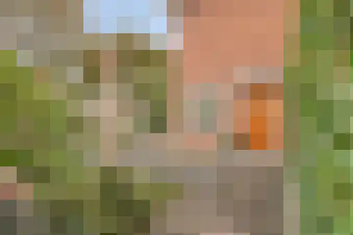 Julianalaan 17 Pijnacker thumbnail 6