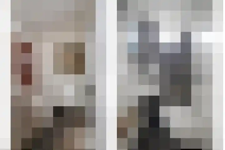 Julianalaan 17 Pijnacker thumbnail 7