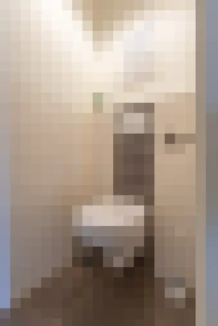 Julianalaan 17 Voorhout thumbnail 11