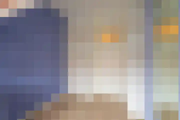 Julianalaan 17 Voorhout thumbnail 17