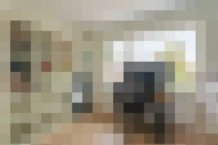 Julianalaan 17 Voorhout thumbnail 19