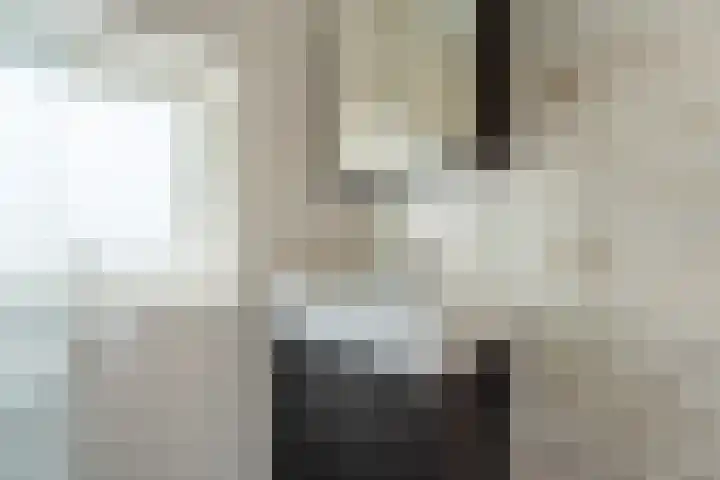 Julianalaan 17 Voorhout thumbnail 21