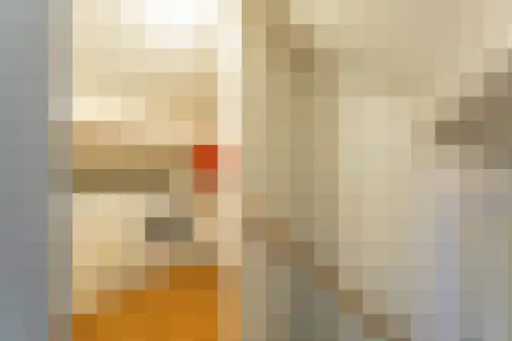 Julianalaan 17 Voorhout thumbnail 22