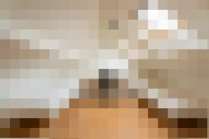 Julianalaan 17 Voorhout thumbnail 23