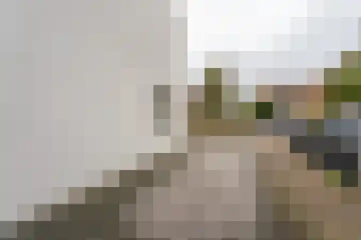 Julianalaan 17 Voorhout thumbnail 32