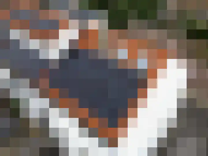 Julianalaan 17 Voorhout thumbnail 33