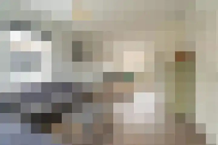 Julianalaan 17 Voorhout thumbnail 4