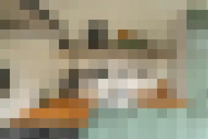 Julianalaan 17 Voorhout thumbnail 8