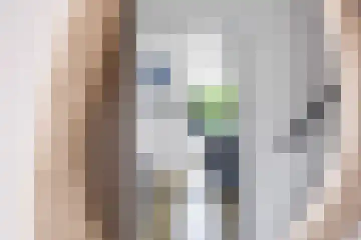 Julianalaan 18 Midlum thumbnail 12