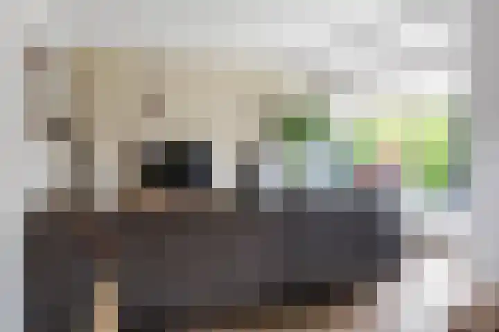 Julianalaan 18 Midlum thumbnail 14