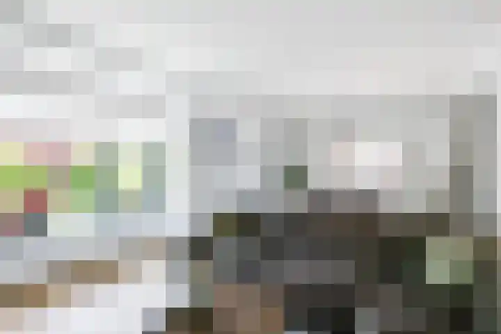 Julianalaan 18 Midlum thumbnail 15