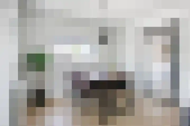 Julianalaan 18 Midlum thumbnail 19